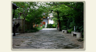 色あせない時とともに美しくなる庭 色あせない時とともに美しくなる庭