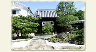 美と愉悦の日本庭園 美と愉悦の日本庭園